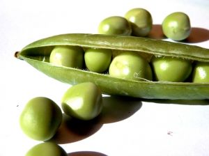 winter-peas