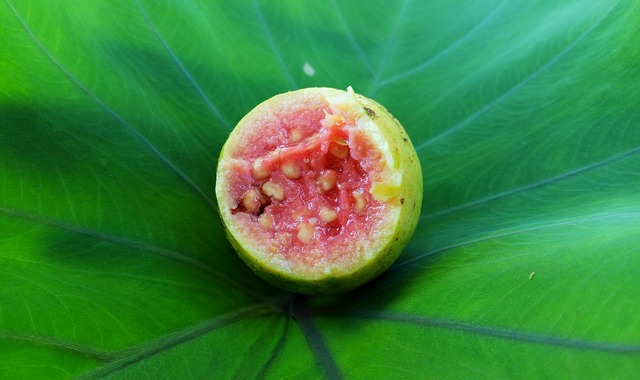 red-guava